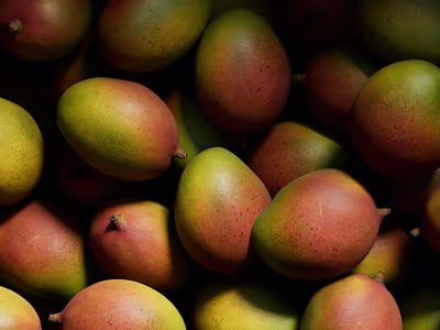 Fresh mango dessert with tropical fruits